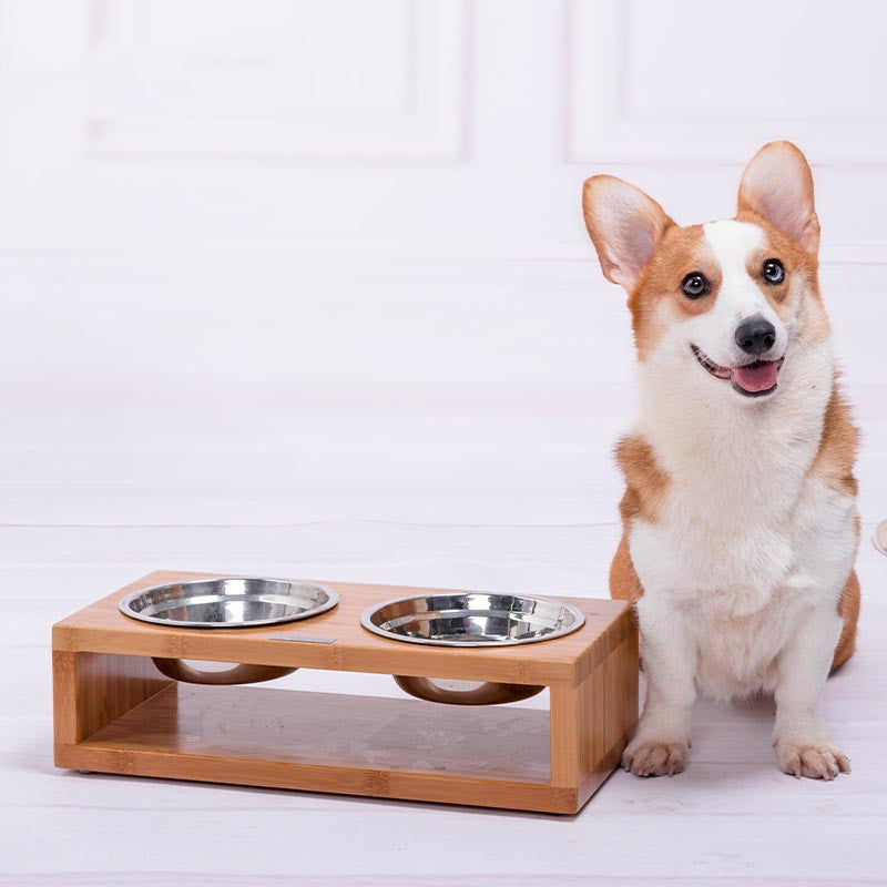 Elegant Stainless Steel Dog Bowl with Neck Guard - Dining Elevated