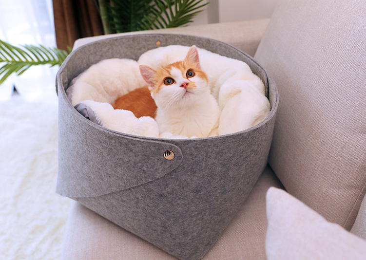 Cozy and Versatile Pet Bed - Snuggle Space for Your Furry Friend