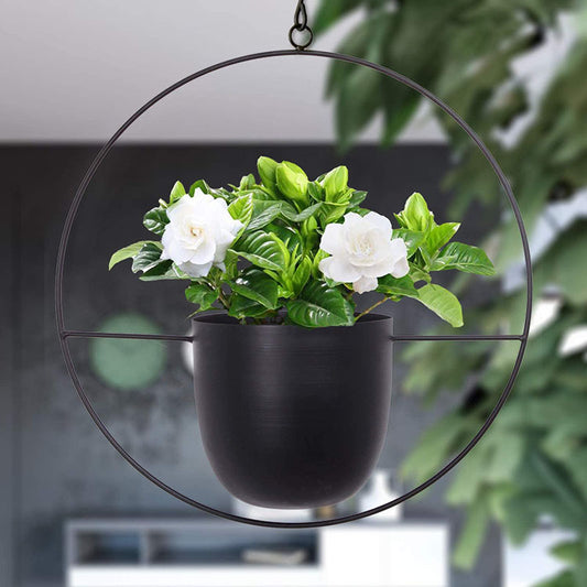 Elevate Your Greenery - Iron Hanging Hydroponic Plant Hanging Orchid Pots