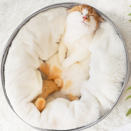 Cozy and Versatile Pet Bed - Snuggle Space for Your Furry Friend