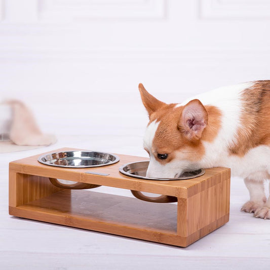 Elegant Stainless Steel Dog Bowl with Neck Guard - Dining Elevated