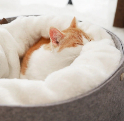 Cozy and Versatile Pet Bed - Snuggle Space for Your Furry Friend