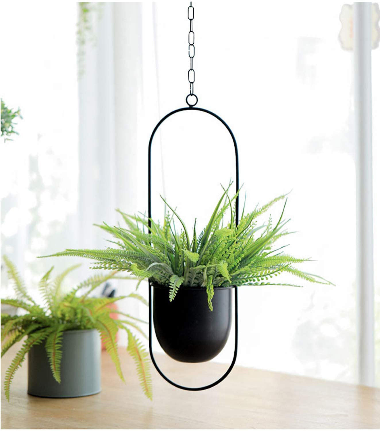 Elevate Your Greenery - Iron Hanging Hydroponic Plant Hanging Orchid Pots