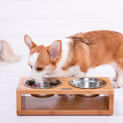 Elegant Stainless Steel Dog Bowl with Neck Guard - Dining Elevated