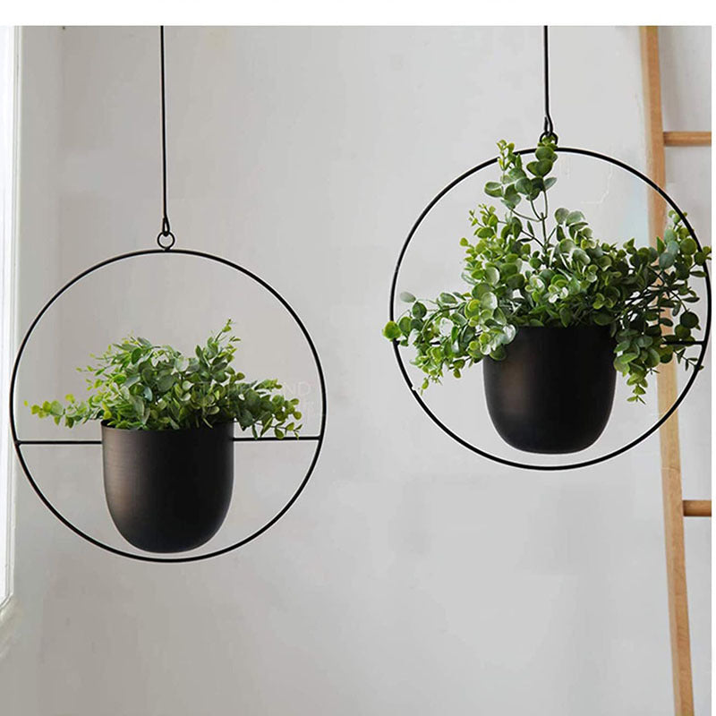 Elevate Your Greenery - Iron Hanging Hydroponic Plant Hanging Orchid Pots